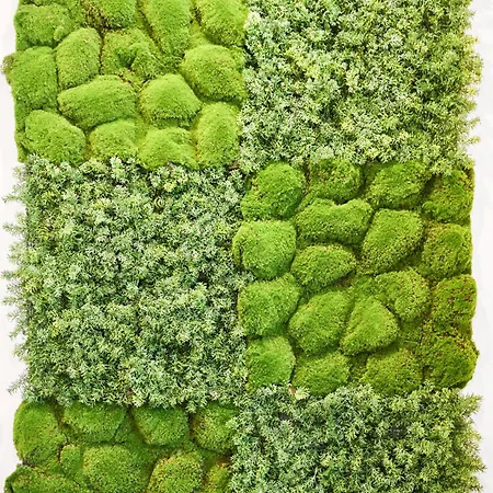 Weidacher Ausblick *